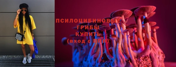 синтетический гашиш Костерёво