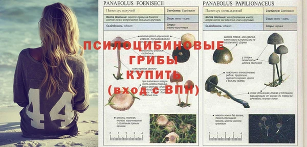 синтетический гашиш Костерёво