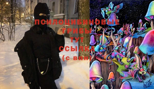 синтетический гашиш Костерёво