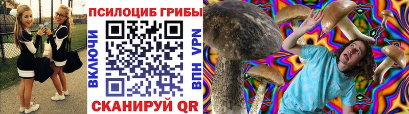 Галлюциногенные грибы Cubensis  купить наркотик  Прохладный 