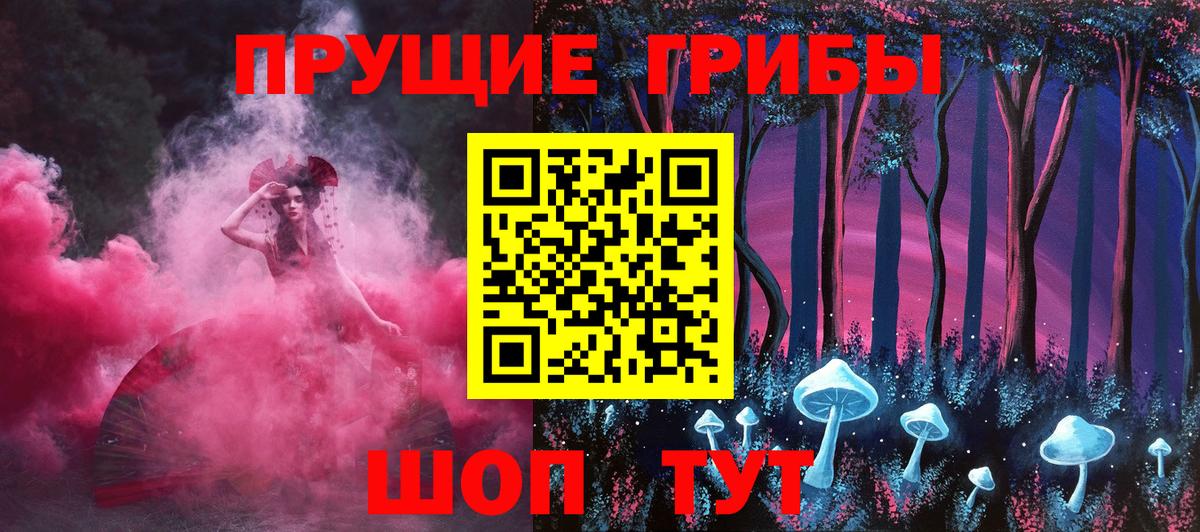 Галлюциногенные грибы Psilocybe  купить наркоту  Прохладный  Вход с VPN 